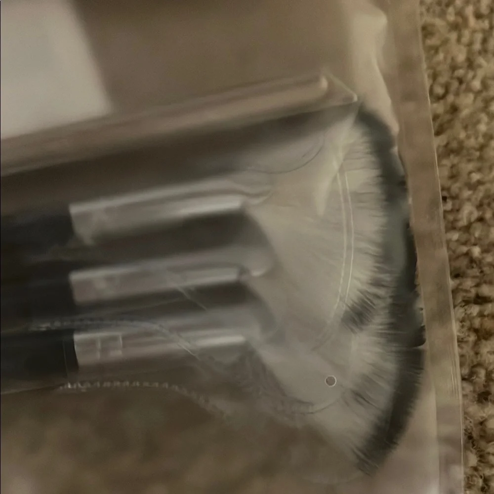 6 Piece Makeup Brush Set with Fan Brushes ($6 in bundle)